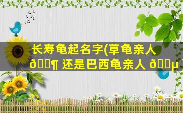 长寿龟起名字(草龟亲人 🐶 还是巴西龟亲人 🐵 )